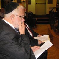 YESHIVA-LITE » Rabbi Hershel Schachter
